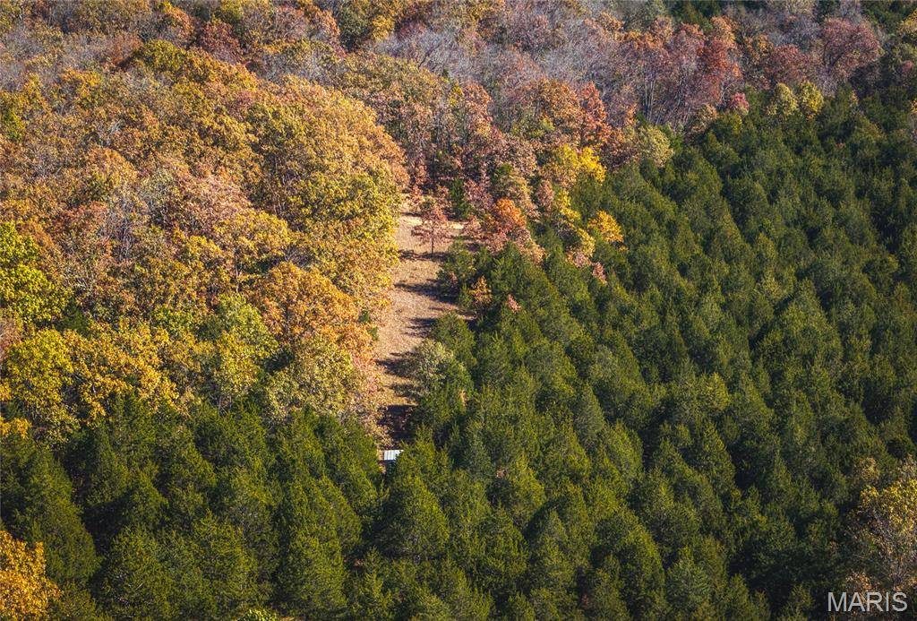 43 +/- Acres TBD Highway H, Gerald, MO 63037