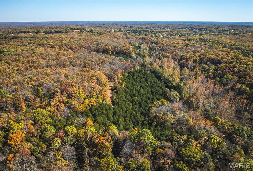 43 +/- Acres TBD Highway H, Gerald, MO 63037