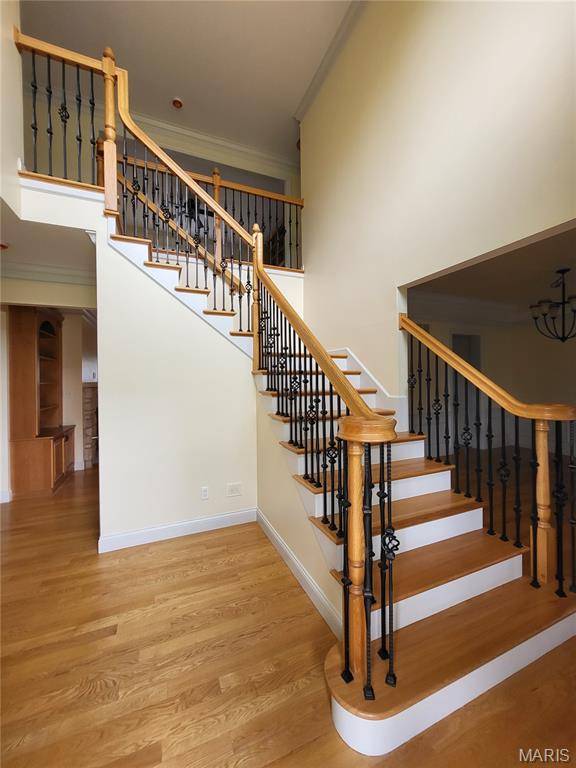 1 Crabapple CT, Olivette, MO 63132