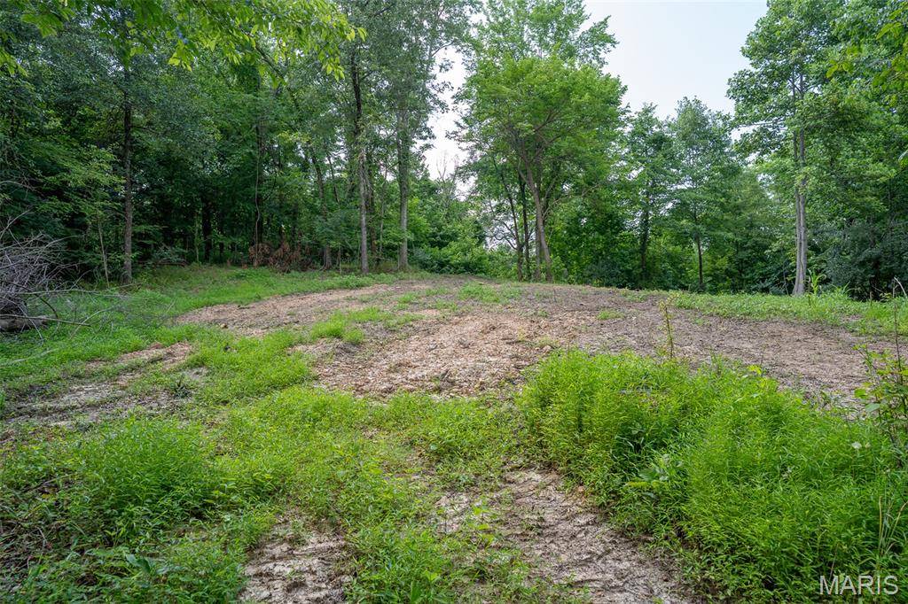 0 Old Sprigg Street Road (Tract# 3), Cape Girardeau, MO 63701