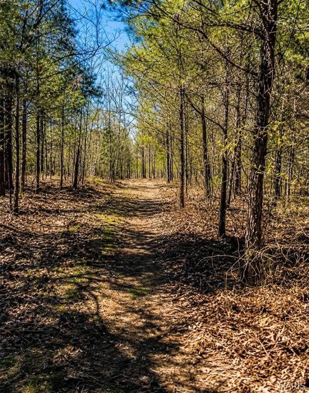 1 142-E, Doniphan, MO 63935