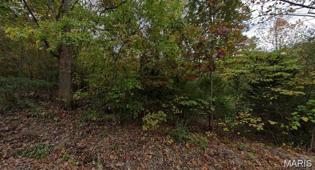 9482 James DR, French Village, MO 63036