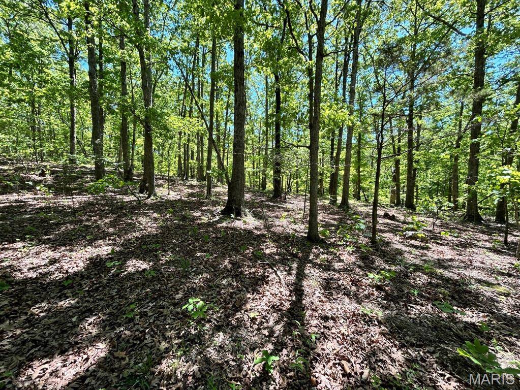 0 Turkey Foot Road, Bourbon, MO 65441