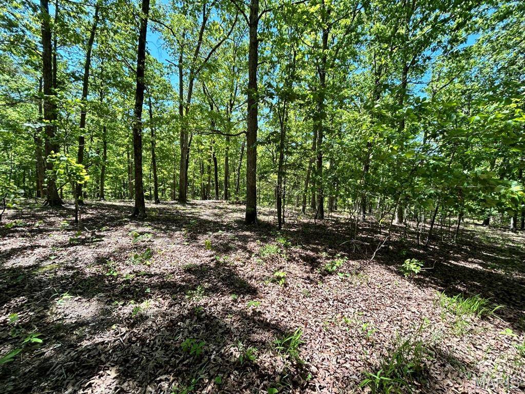 0 Turkey Foot Road, Bourbon, MO 65441