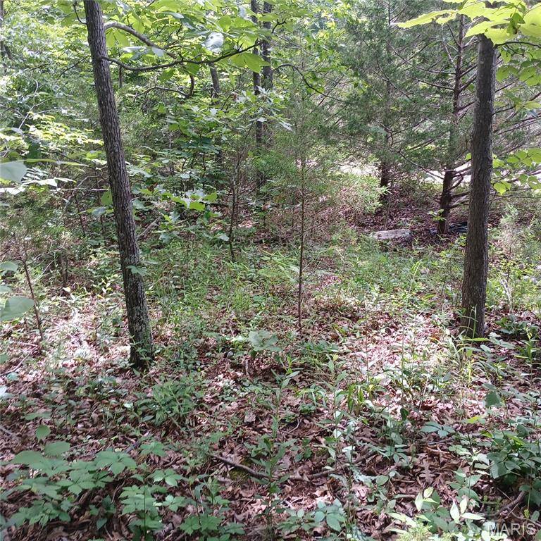 lot 3113 Quincy, Bismarck, MO 63624