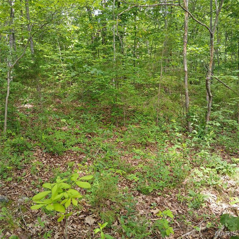 lot 3113 Quincy, Bismarck, MO 63624