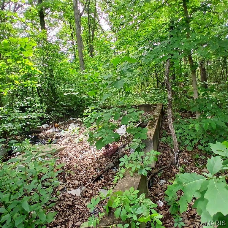 lot 3656 365 Imperial, Bismarck, MO 63624
