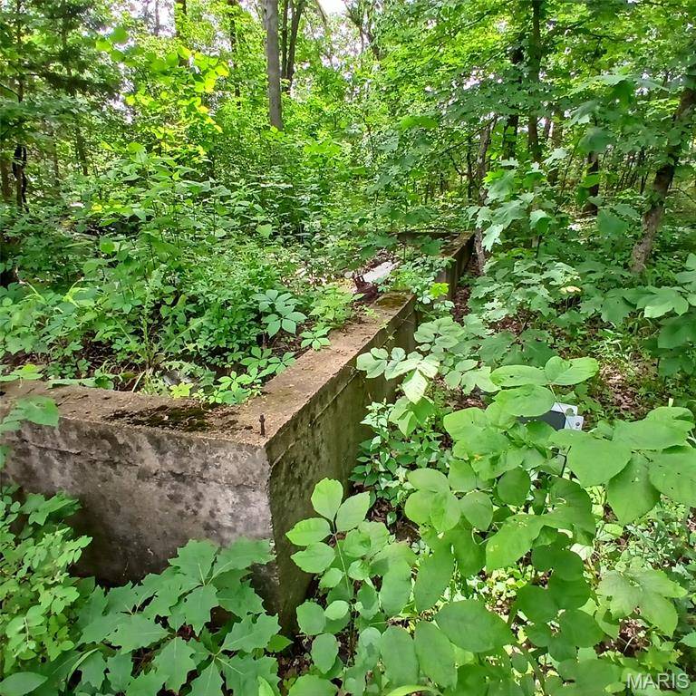 lot 3656 365 Imperial, Bismarck, MO 63624
