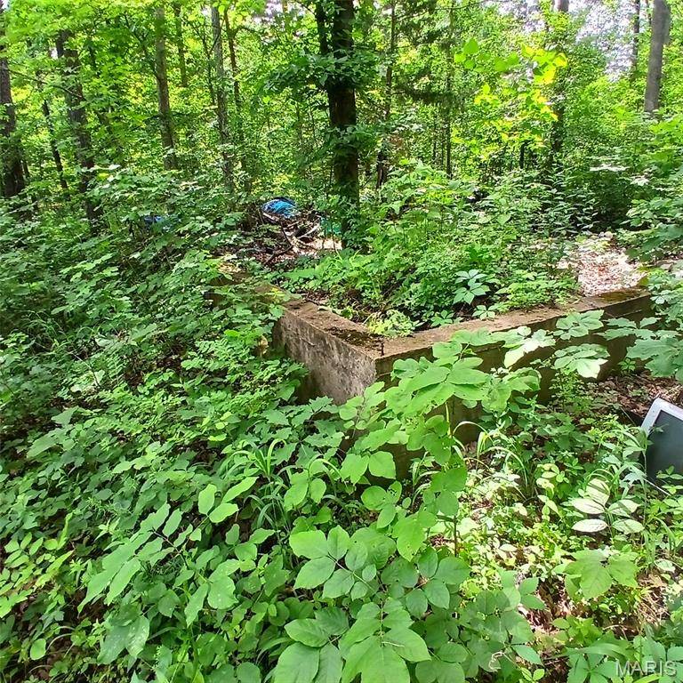 lot 3656 365 Imperial, Bismarck, MO 63624