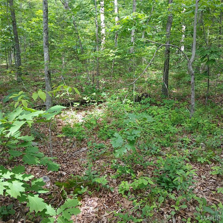 lot 3622 imperial, Bismarck, MO 63624