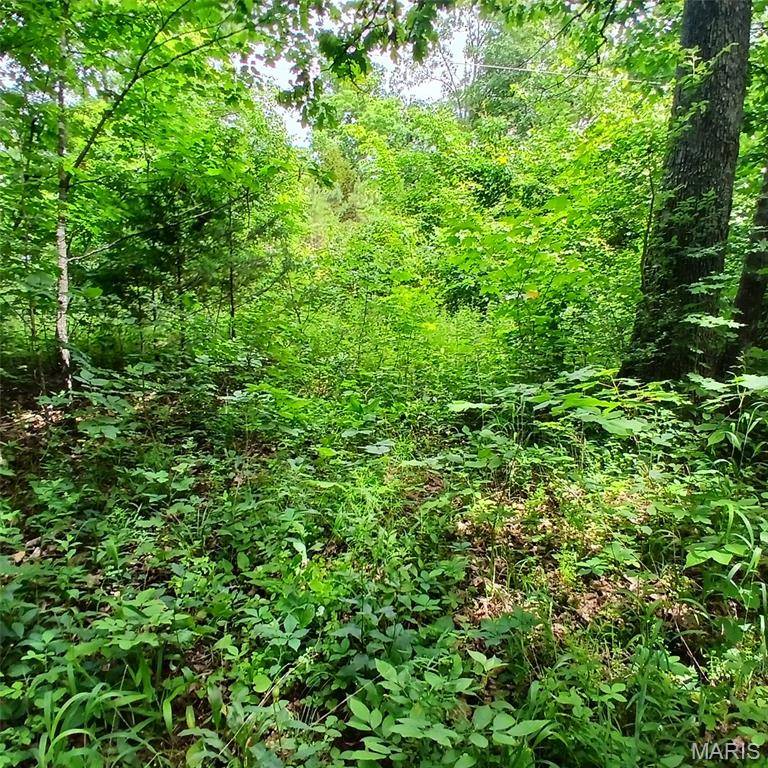lot 3622 imperial, Bismarck, MO 63624