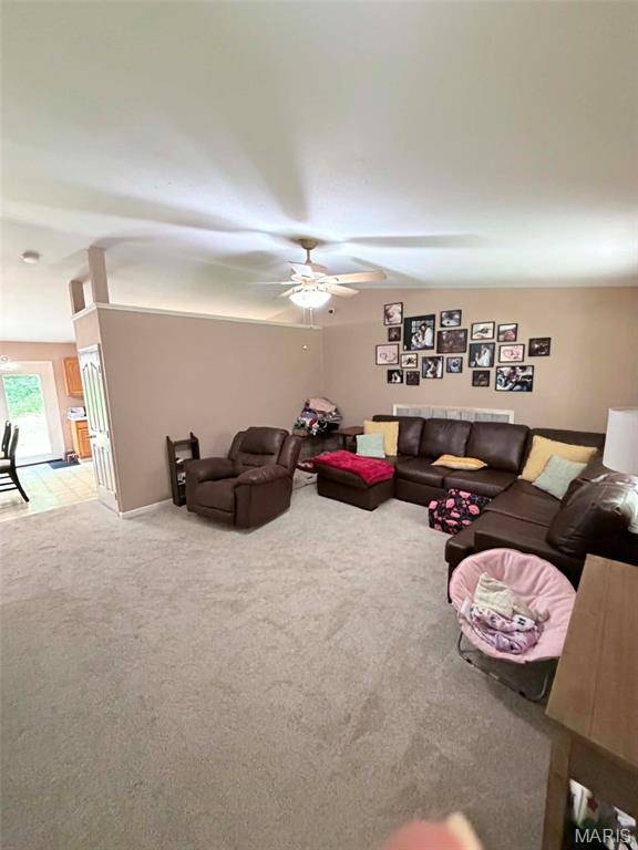9934 Thurman Oaks RD, Valles Mines, MO 63087
