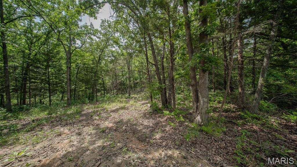 0 21.72 acres County Road 8240, Rolla, MO 65401