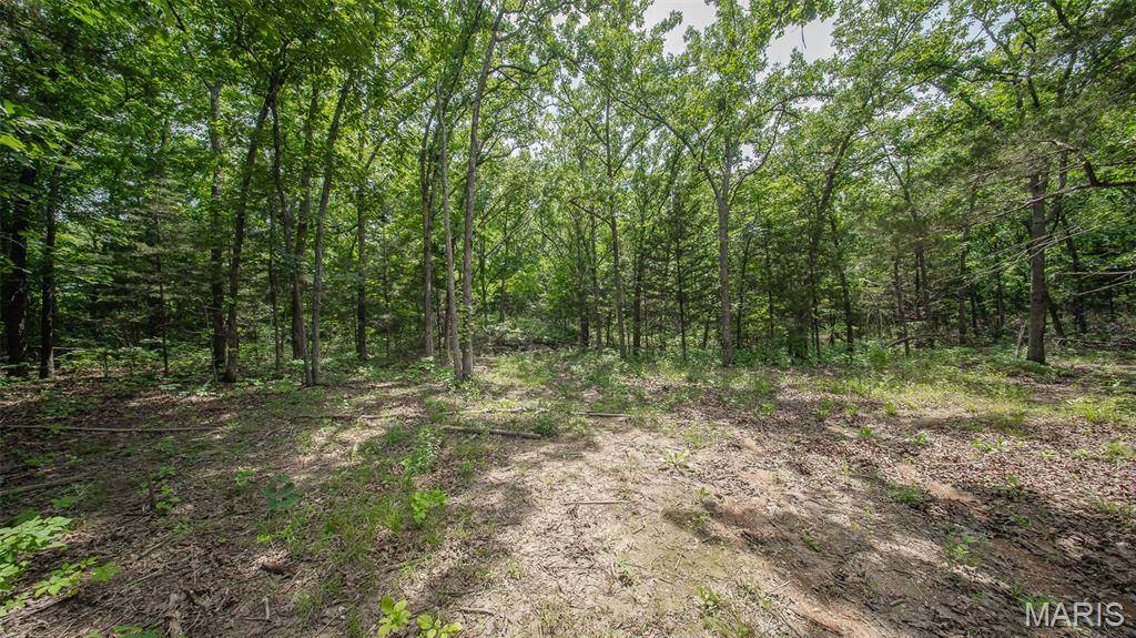 0 21.72 acres County Road 8240, Rolla, MO 65401