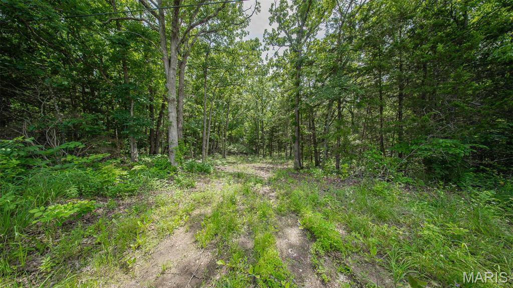 0 21.72 acres County Road 8240, Rolla, MO 65401