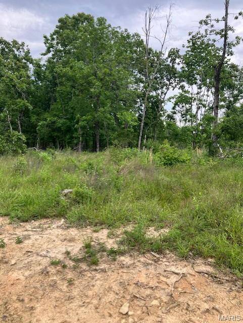231 Madison CR 410, Fredericktown, MO 63645