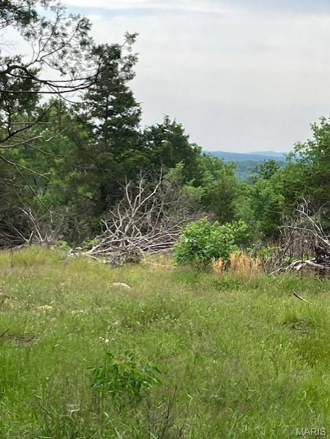 232 Madison CR 410, Fredericktown, MO 63645