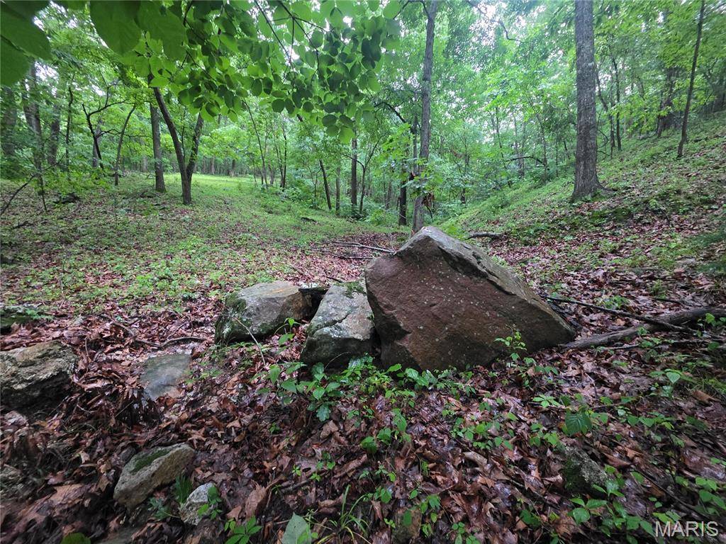 0 County Road 8500, Newburg, MO 65550
