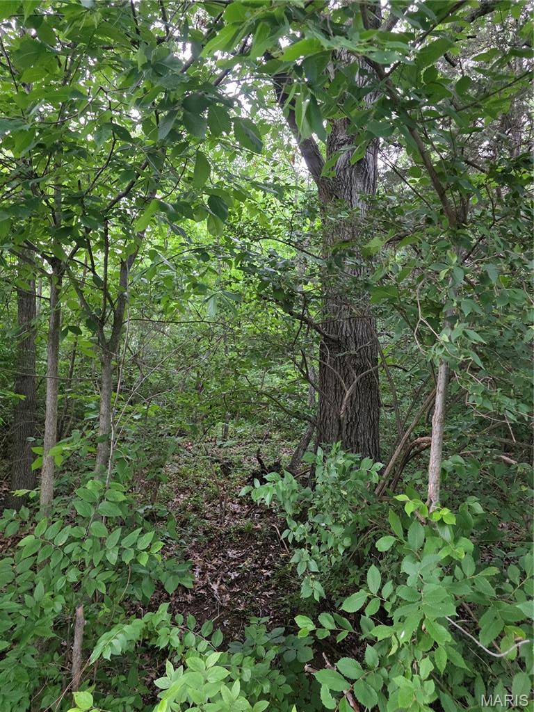 0 W Lakeview Dr, De Soto, MO 63050