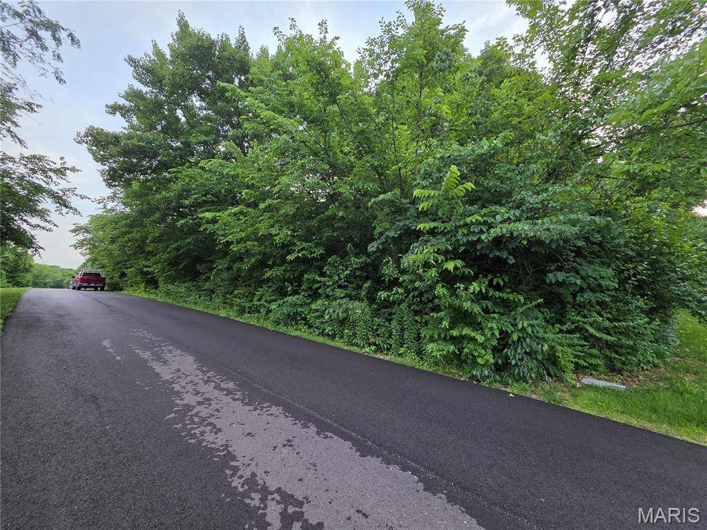 0 W Lakeview Dr, De Soto, MO 63050