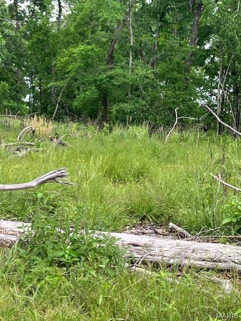 233 Madison CR 410, Fredericktown, MO 63645
