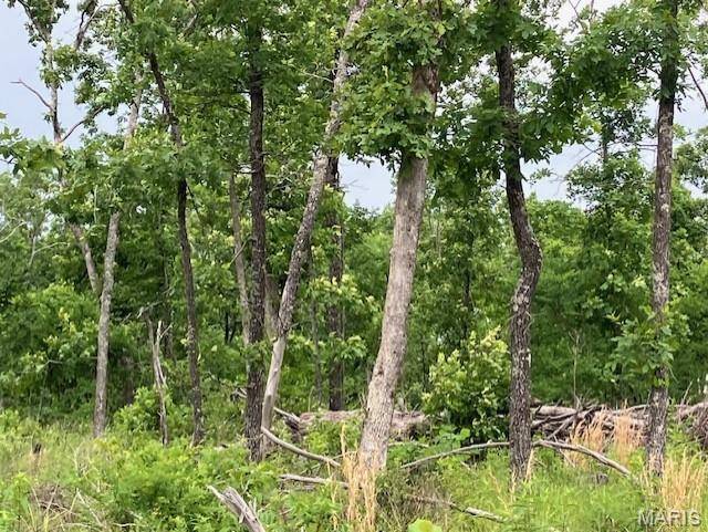 233 Madison CR 410, Fredericktown, MO 63645