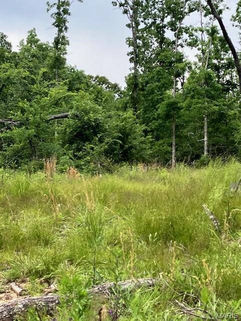 234 Madison CR 410, Fredericktown, MO 63645