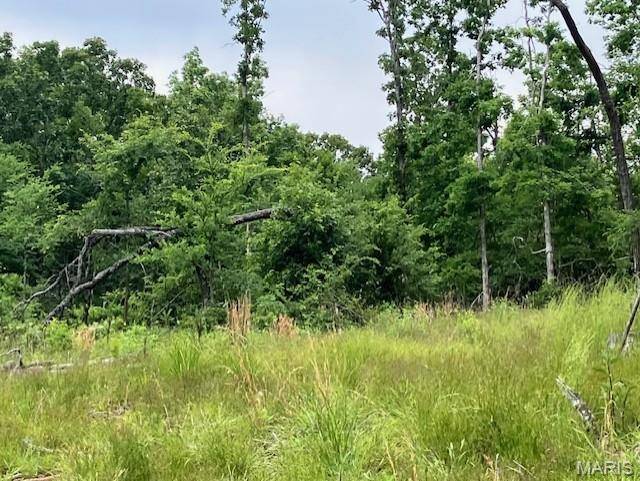 234 Madison CR 410, Fredericktown, MO 63645