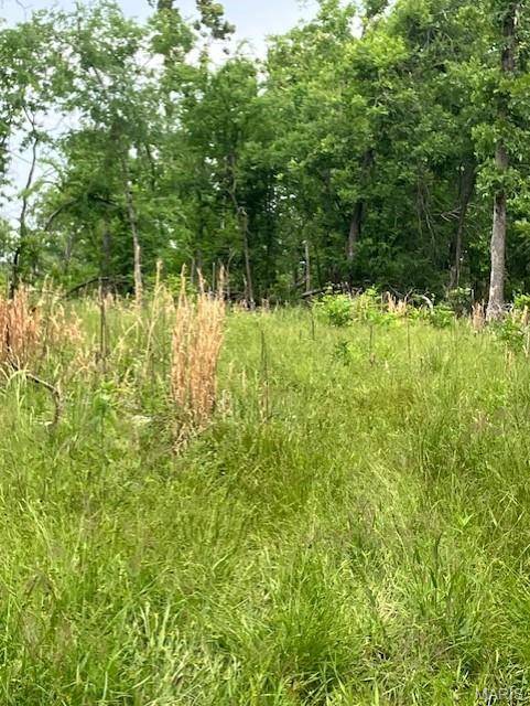 235 Madison CR 410, Fredericktown, MO 63645
