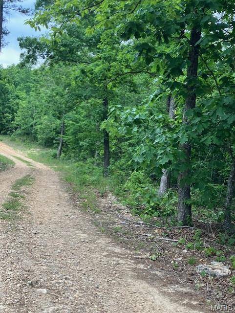 238 Madison CR 410, Fredericktown, MO 63645