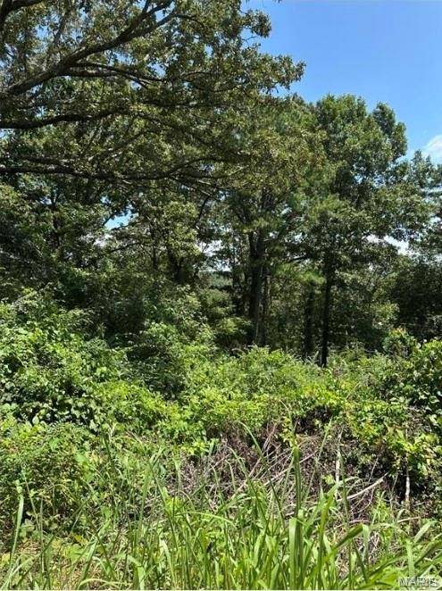 Plat 9 Lot 22, Van Buren, MO 63965