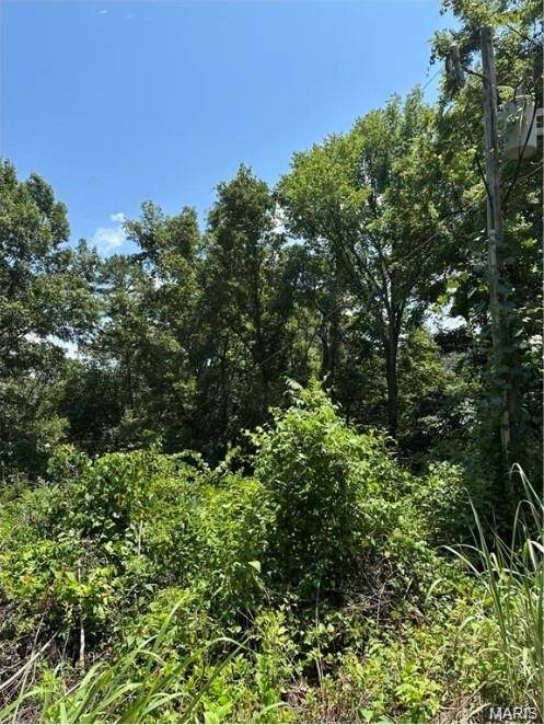 Plat 9 Lot 22, Van Buren, MO 63965