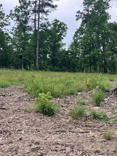 240 Madison CR 410, Fredericktown, MO 63645