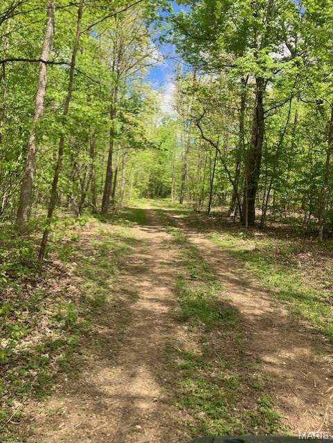228 Madison CR 410, Fredericktown, MO 63645