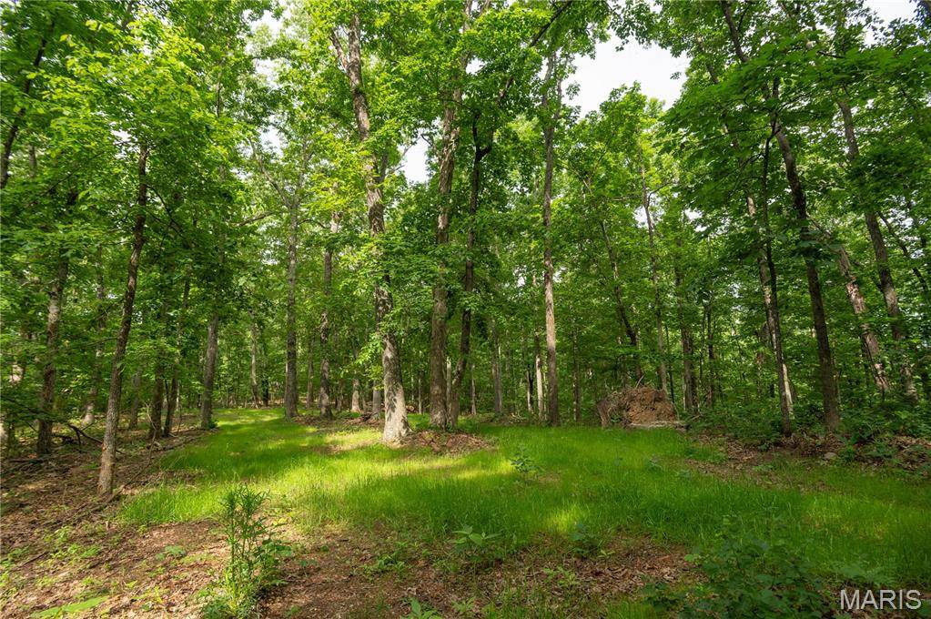 TBD Wayne, Piedmont, MO 63957
