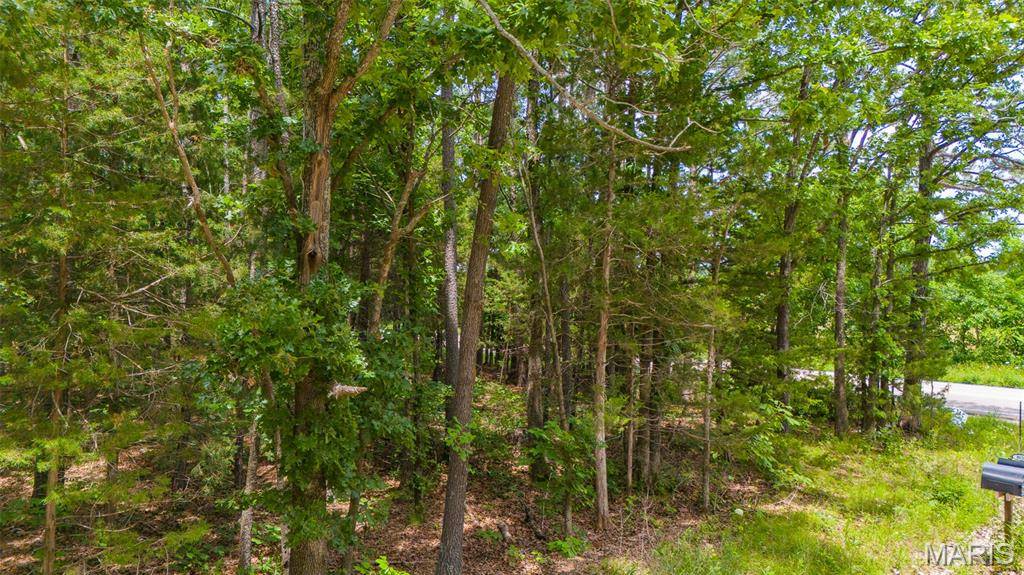 Tract E Private Drive 5294, Rolla, MO 65401