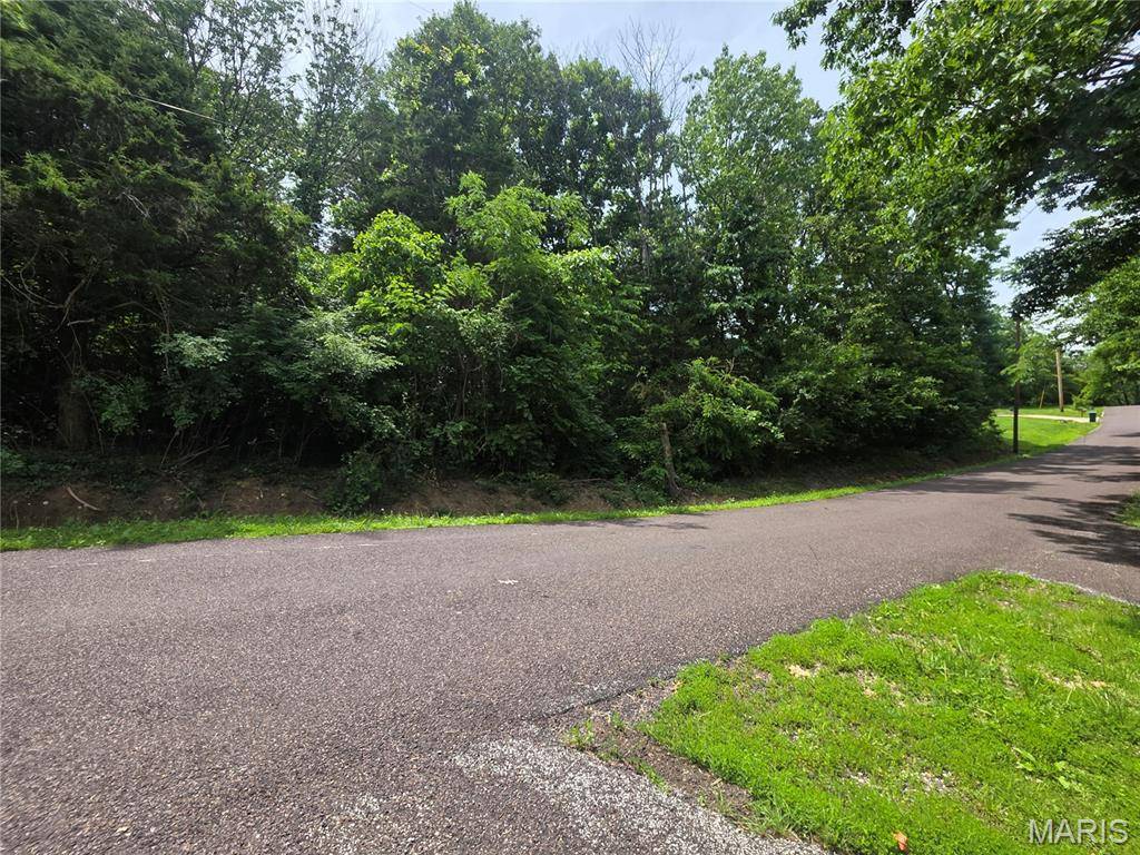 0 S Lake Shore DR, Hillsboro, MO 63050