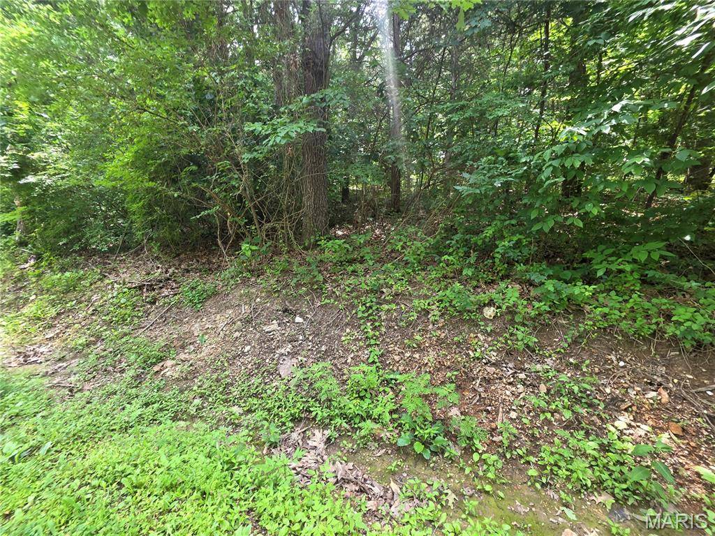 0 S Lake Shore DR, Hillsboro, MO 63050