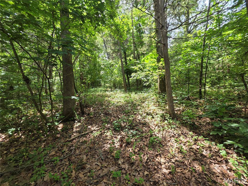 0 S Lake Shore DR, Hillsboro, MO 63050