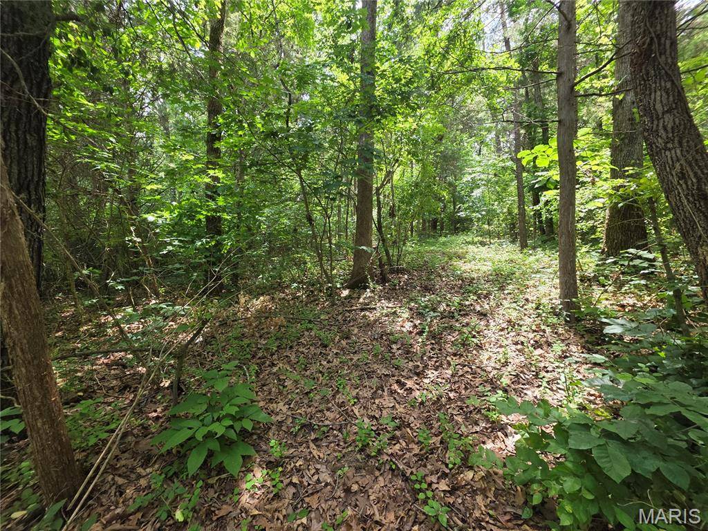 0 S Lake Shore DR, Hillsboro, MO 63050