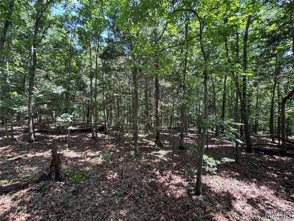 TBD Hooiser RD, Dixon, MO 65459