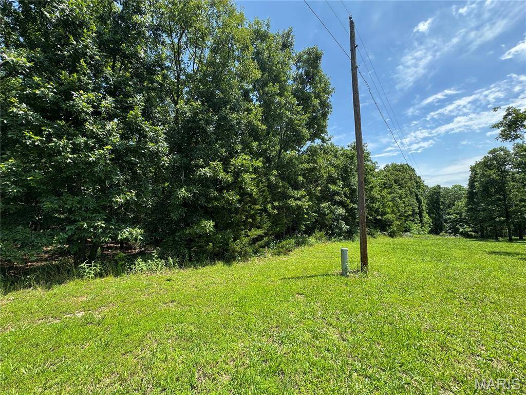 TBD Hooiser RD, Dixon, MO 65459