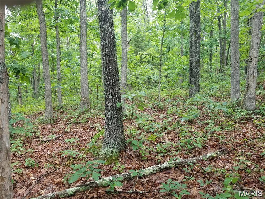 Lot 14 Hickory Ridge, Steelville, MO 65565