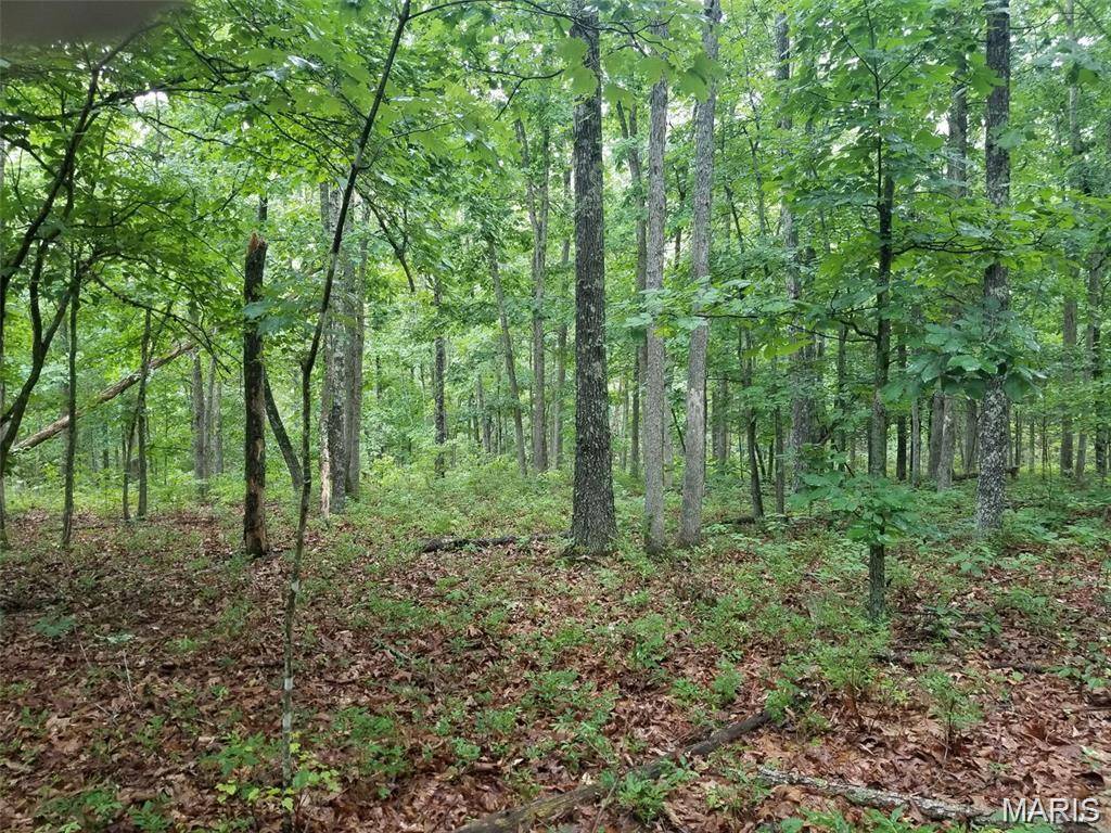 Lot 14 Hickory Ridge, Steelville, MO 65565