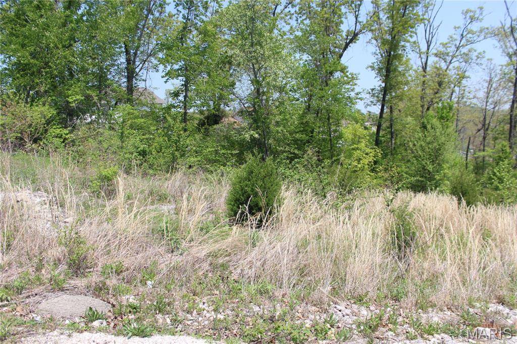 0 Trace DR, St Robert, MO 65584