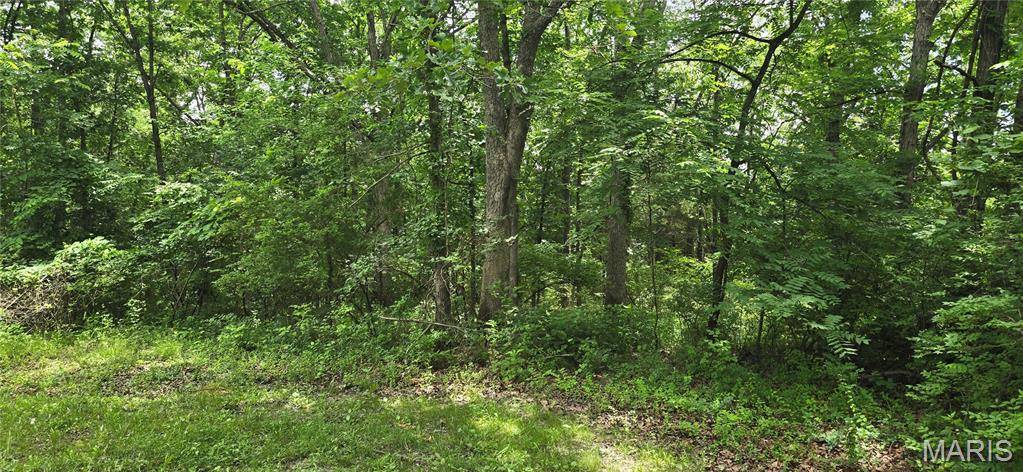 217 Anna ST, St James, MO 65559
