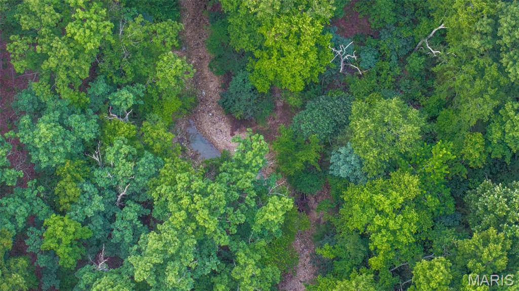 0 HWY M, Cabool, MO 65689