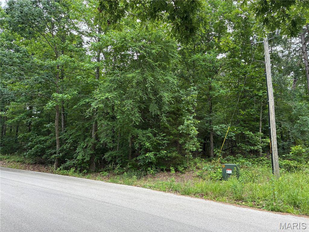 0 Bruce, Poplar Bluff, MO 63901