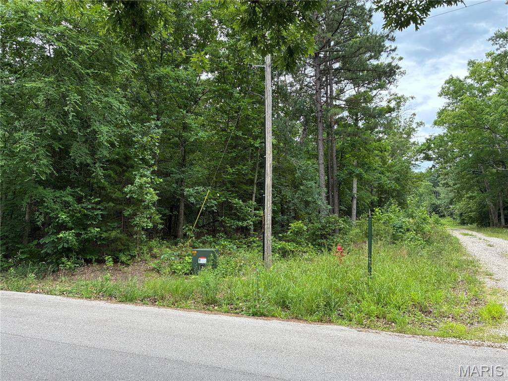 0 Bruce, Poplar Bluff, MO 63901