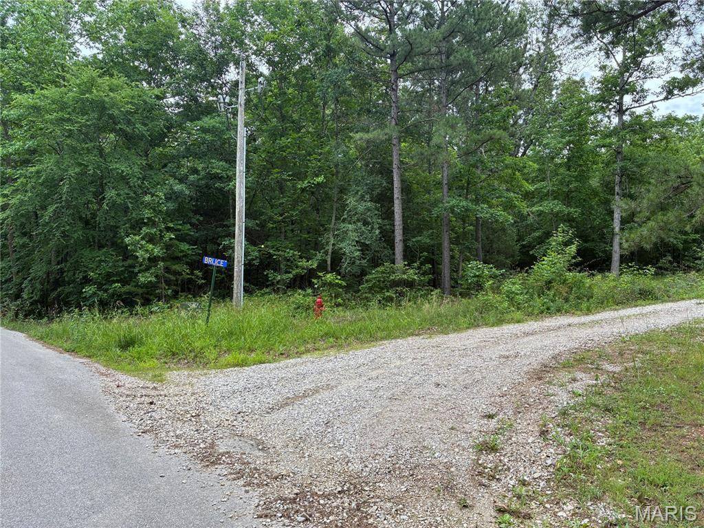 0 Bruce, Poplar Bluff, MO 63901